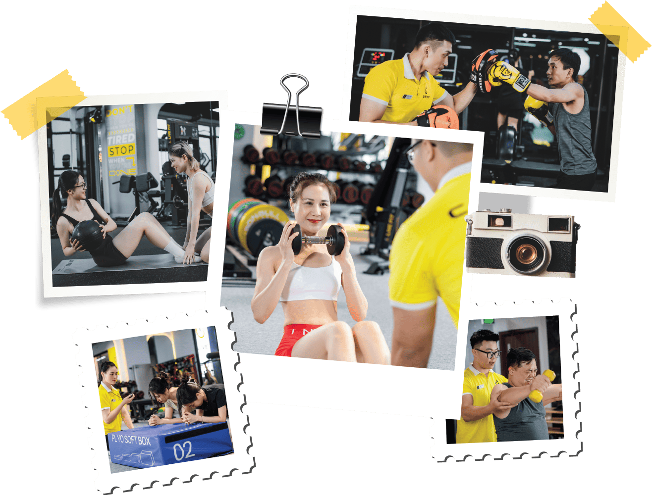 CÁC KHÓA HUẤN LUYỆN CHỦ LỰC TẠI LIVE FIT PRIVATE FITNESS