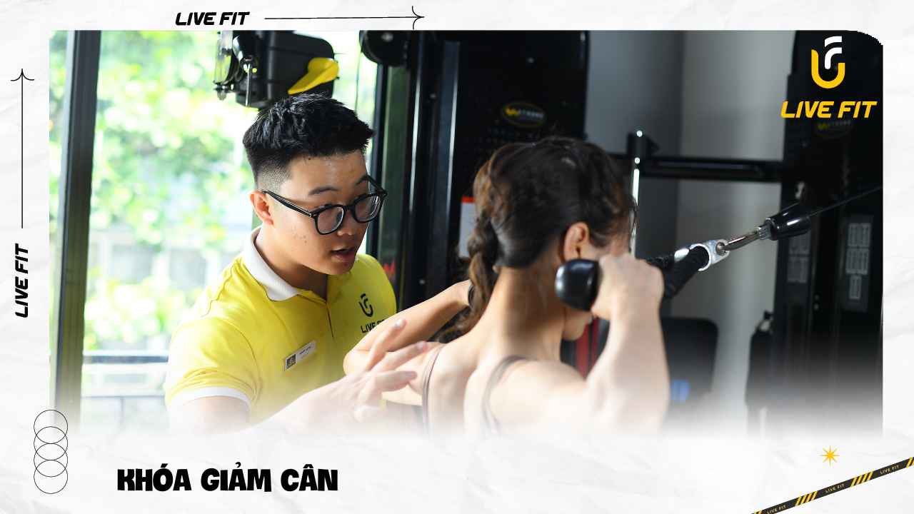 Khóa luyện tập giảm cân tại Live Fit